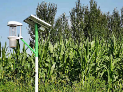 致敬耕耘者！「盤點2021」農業科技公司的情懷與擔當